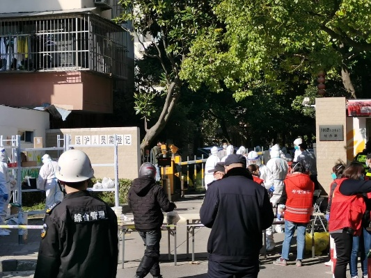 「上海全域静态管理全员核酸筛查」〃上海静态交通