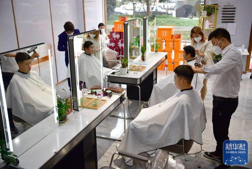 石家庄多区有序恢复生产生活秩序-石家庄何时才能复工