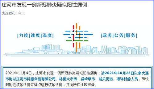 【大连庄河今日发现1例疑似阳性病例/大连庄河新增1例】
