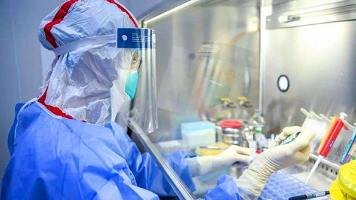 北京现混检初筛阳性〃北京5人混检出阳性