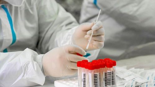 北京现混检初筛阳性〃北京5人混检出阳性