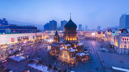 哈尔滨新增,哈尔滨新增员工社保办理步骤