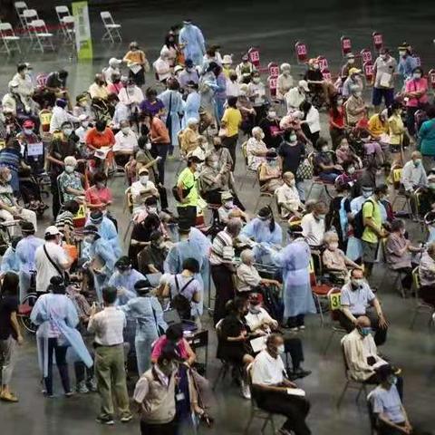 31省新增本土124例-31省新增42例 本土增22例4