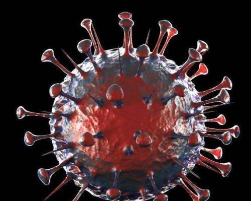 新冠状病毒最新疫情〃新冠状病毒最新疫情分布