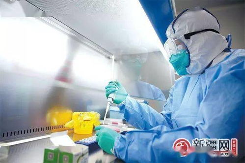 乌鲁木齐核酸-乌鲁木齐核酸筛查发现2个混管异常