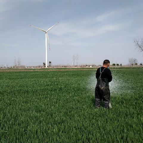 河南疫情最新现状.河南疫情状况最新