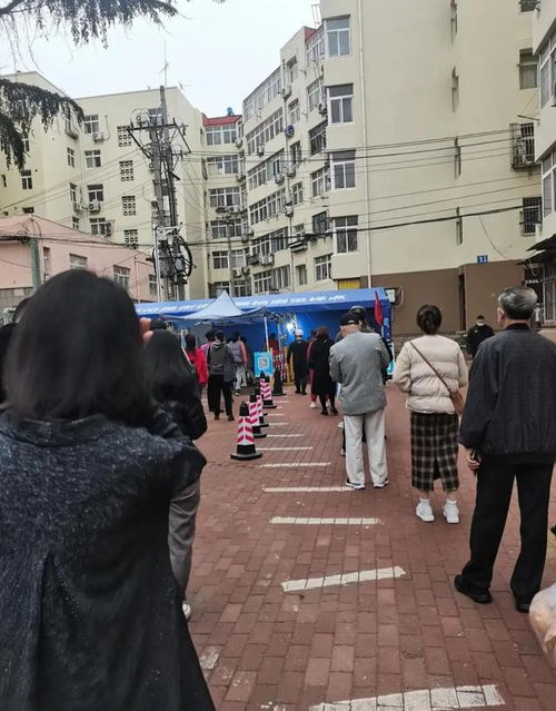 青岛市疫情-青岛市疫情期间建筑21年文件最新