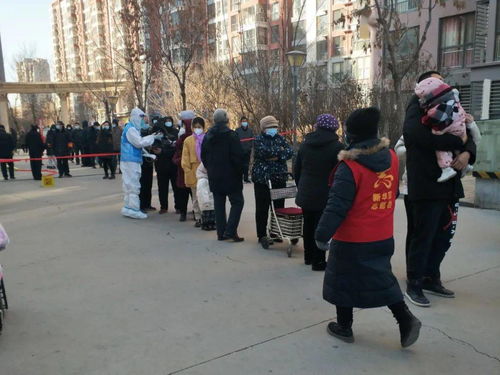 疫情最新消息今天河北石家庄︰(疫情最新数据消息河北石家庄)