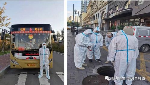 哈尔滨疫情最新进展-哈尔滨疫情最新情报