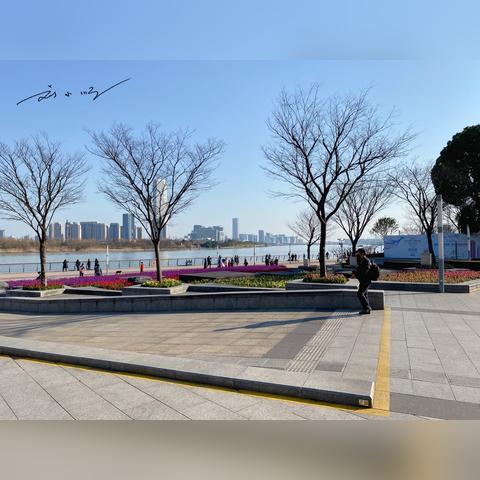 上海最新发布的疫情.上海最新疫情报告发布