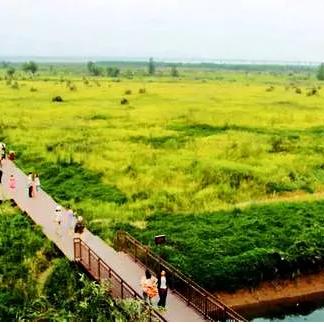 “郑州限号2020最新通知7月份” 郑州限号202012月最新通知？