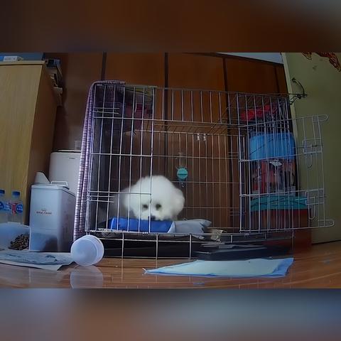 官方回应上海阳性病例数增加-上海阳性患者