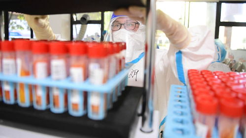 【多地通告跨省来返人员3天内不进餐厅/跨省不返乡】