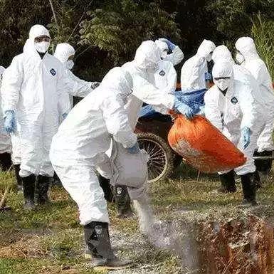 本轮疫情已涉7省份.本次疫情省份 本轮疫情已涉7省份.本次疫情省份