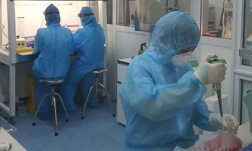 青岛无症状者属早期感染.青岛的无症状感染者怎么样了