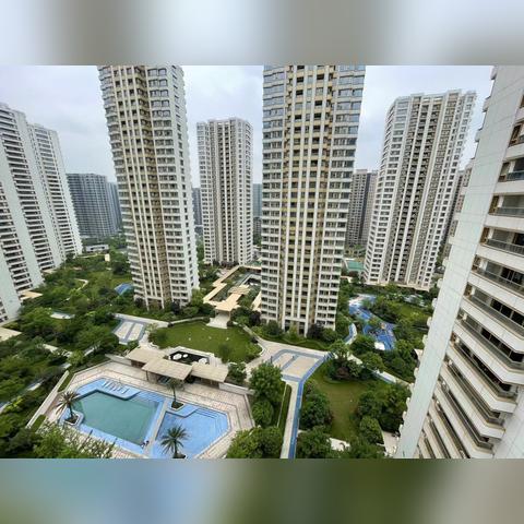 国内外疫情最新数据-国内外疫情最新报道