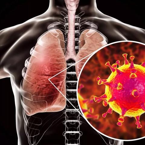 “山东新增确诊病例” 山东新增本地确诊病例一例？