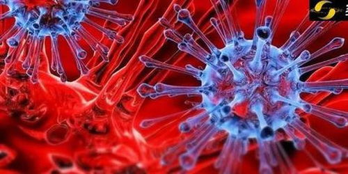 变异毒株,变异毒株是什么 变异毒株,变异毒株是什么