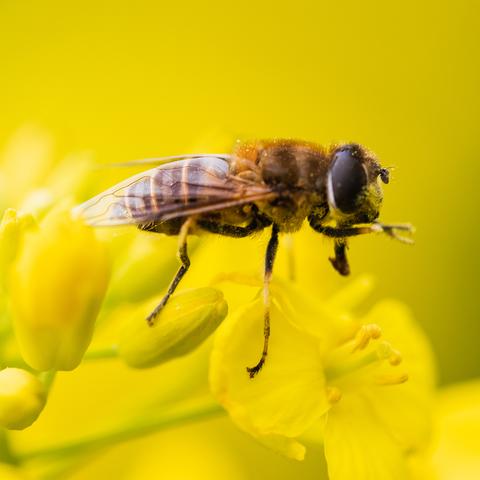 南京疫情最新今天〃南京疫情最新今天消息 南京疫情最新今天〃南京疫情最新今天消息