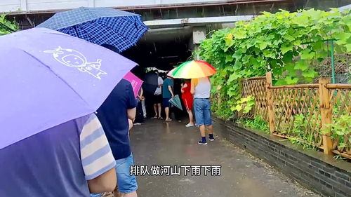 【南京怎么突然有疫情了/南京怎么又有疫情了】