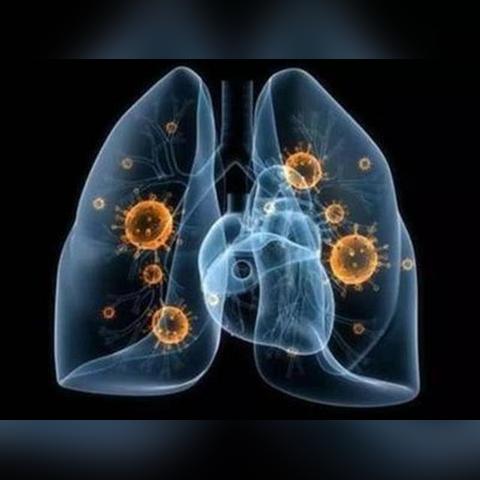 31省增11例境外病例-31省新增境外15例国外