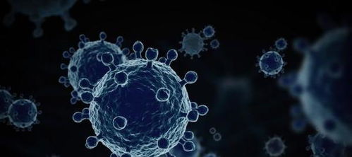 明年新冠病毒会消失吗︰(新冠明年还会有吗)