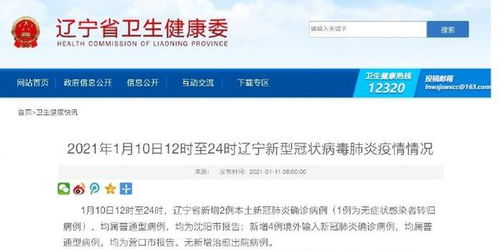 辽宁新增10例本土确诊︰(辽宁新增本土确诊详情) 辽宁新增10例本土确诊︰(辽宁新增本土确诊详情)