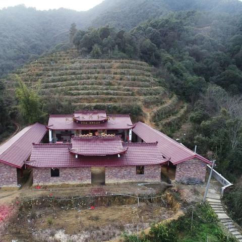 【上海最新的疫情情况/上海最新的疫情情况通报】