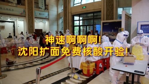 最新沈阳疫情,最新疫情沈阳名单 最新沈阳疫情,最新疫情沈阳名单