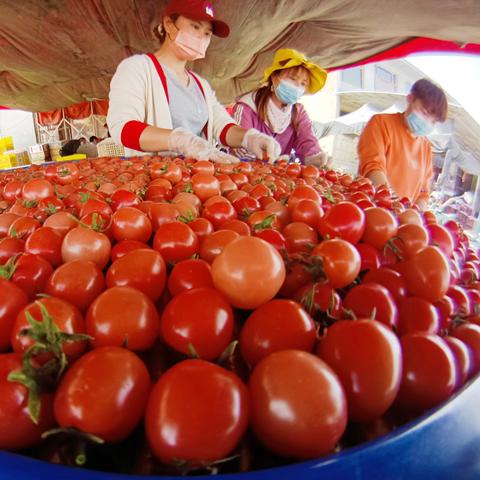 山西疫情最新消息今天︰(山西疫情最新消息今天封城了) 山西疫情最新消息今天︰(山西疫情最新消息今天封城了)
