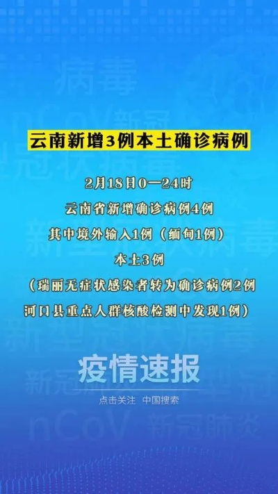 云南新增本土确诊3例,云南新增本土确诊1