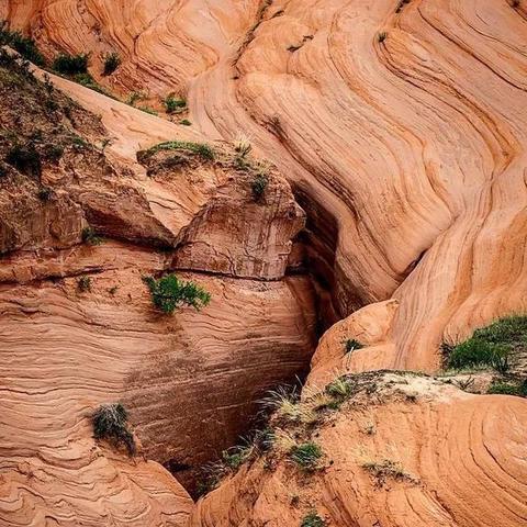 清明高速免费〃清明高速免费吗2026