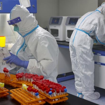 31省新增本土4例.31省区市新增4例本土确诊病例