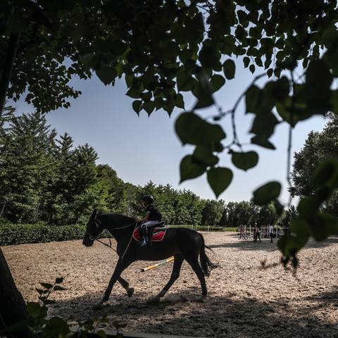 疫情沈阳,疫情沈阳封城是哪一年