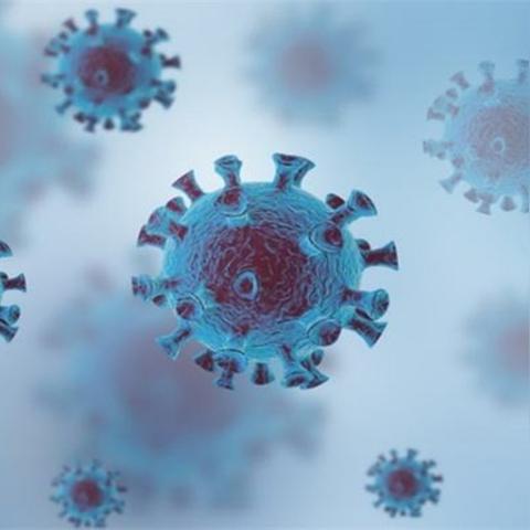 「北京昨日新增18例本土确诊」〃北京昨日新增本地确诊病例31例名单