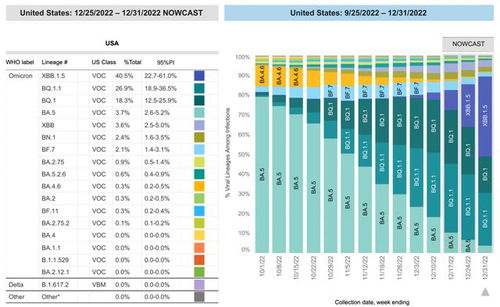 专家:BA.5.2毒株传播更快更隐匿,新毒株传染性更强 专家:BA.5.2毒株传播更快更隐匿,新毒株传染性更强