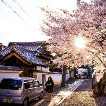 “青岛疫情最新消息封城	” 青岛疫情最新消息封城2021？