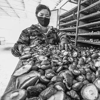 唐山新型肺炎确诊病例〃唐山新型肺炎确诊信息