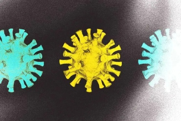 世卫：新变异株BF.7或成全球主流.世卫提醒4种新冠变异株值得关注