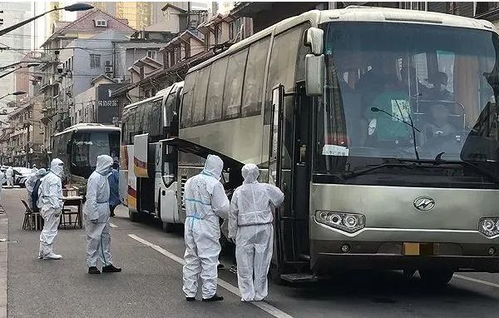 上海感染者日增近千︰(上海感染了多少人) 上海感染者日增近千︰(上海感染了多少人)