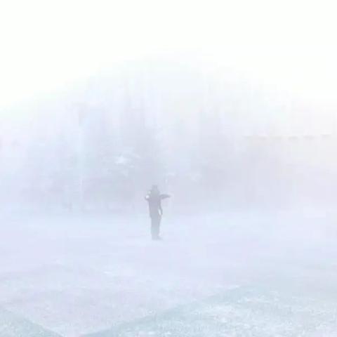 关于黑龙江新增53例确诊24例无症状的信息