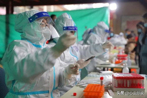 河北疫情最新〃河北疫情最新情况