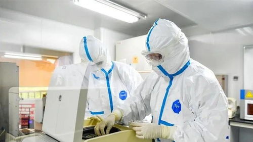 31省新增本土确诊2157例〃31省新增确诊92例 本土73例