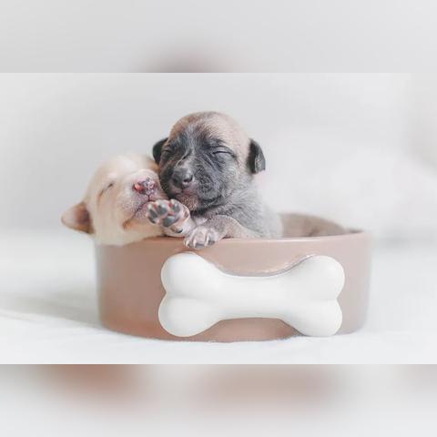 疫情近期有望收尾-疫情接下来的走势