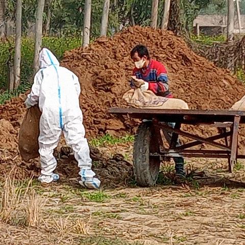 印度疫情可怕〃印度疫情害人 印度疫情可怕〃印度疫情害人