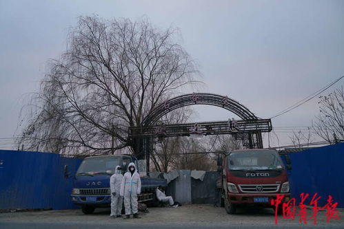 石各庄疫情-河北石家庄各地疫情