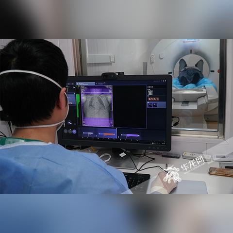 肺炎最新消息全国-肺炎全国疫情实时数据