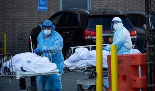 美国最新疫情情况︰(美国最新疫情实况)