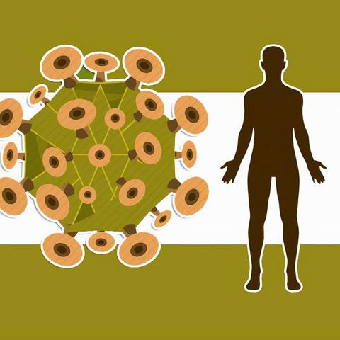 31省新增本土17例-31省区市新增本土7例