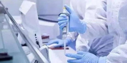 内蒙古新增2例确诊系夫妻.内蒙古新增两例病例